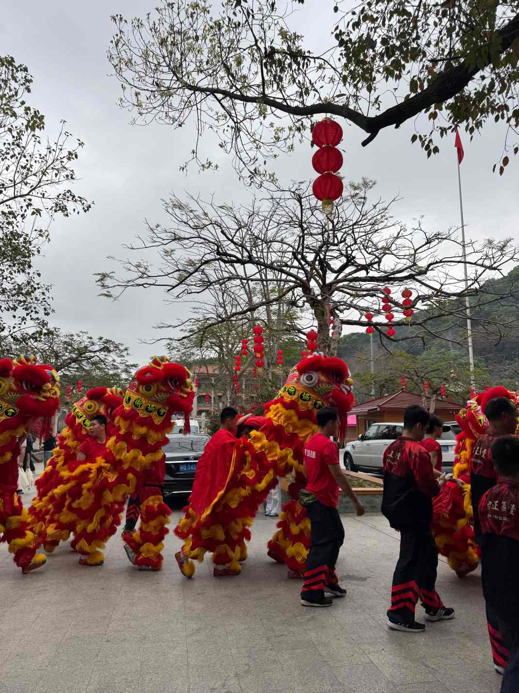 Chinese New Year 2026